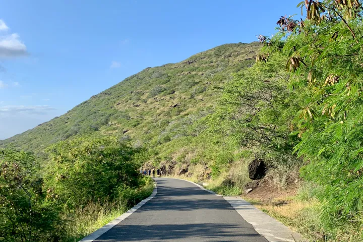 Paved road through green hills under a clear blue sky.