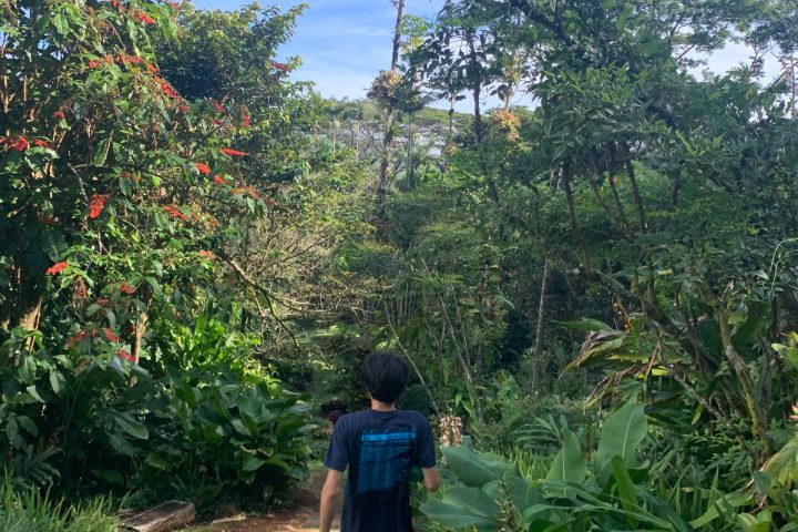 a person standing next to a tree