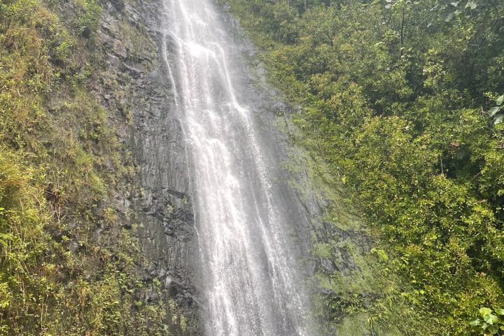 Manoa Falls