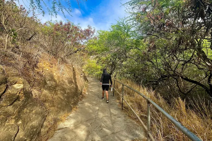Person walking on a trail surrounded by trees under a blue sky.