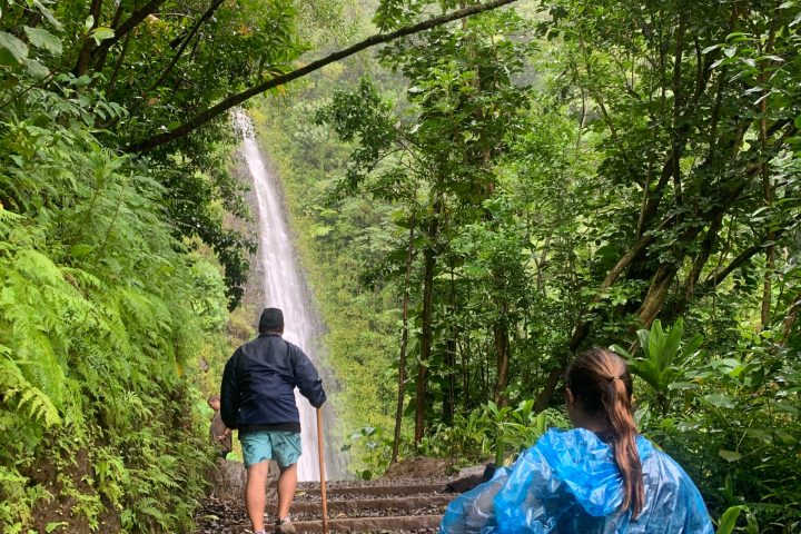 Manoa Falls