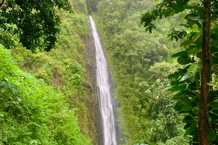 Tall waterfall cascading down a lush, green hillside surrounded by dense forest.
