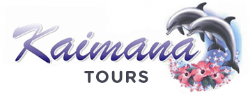 Kaimana Tours | Oahu Hiking Tours & Excursions In Honolulu