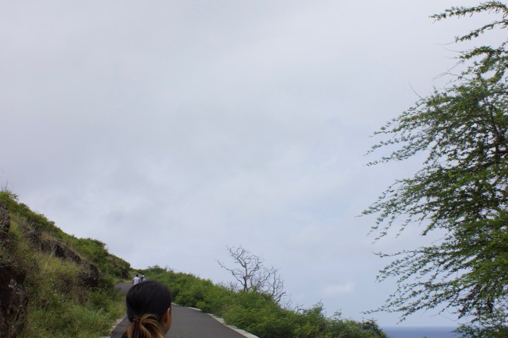 Makapuu trail