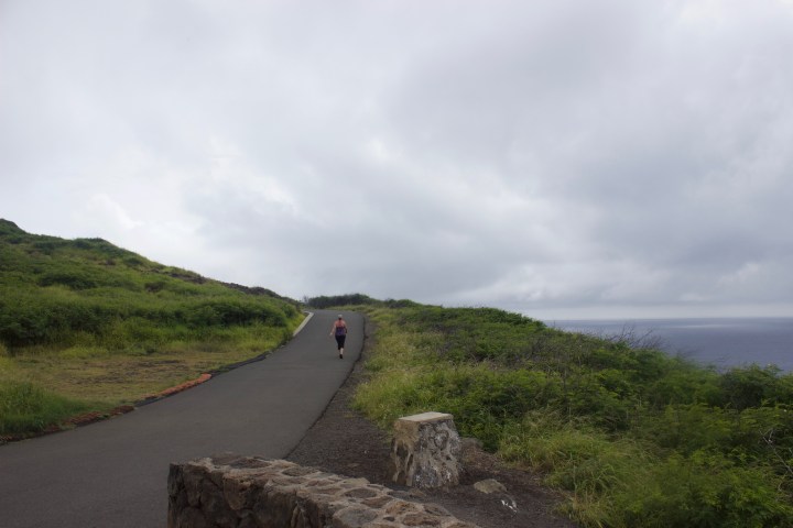 Makapuu walkway