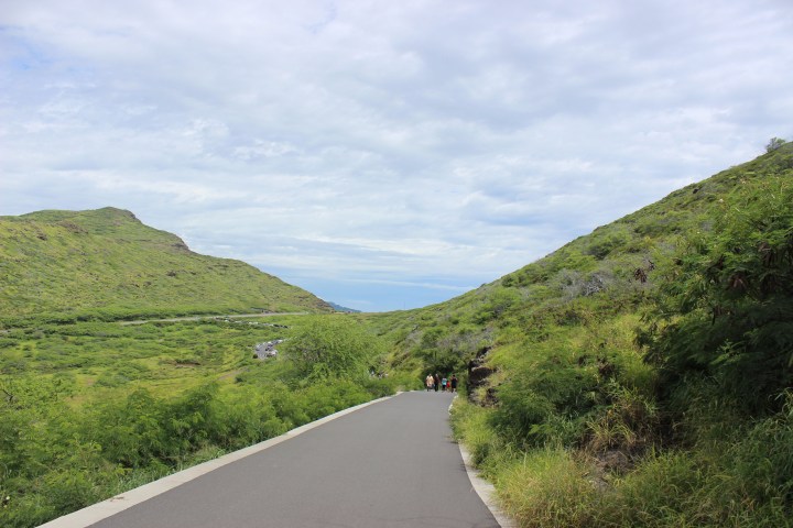 Makapuu trail 2