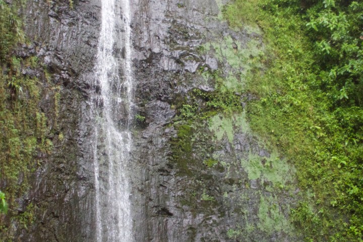 manoa fall