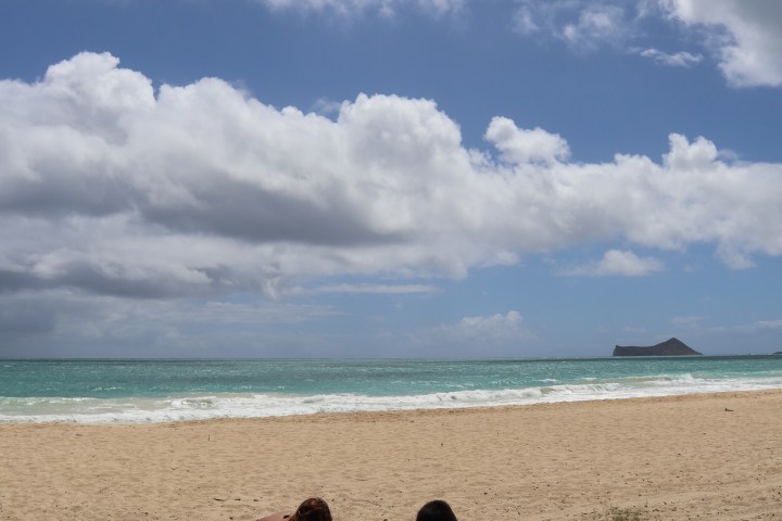 a person sitting on a beach